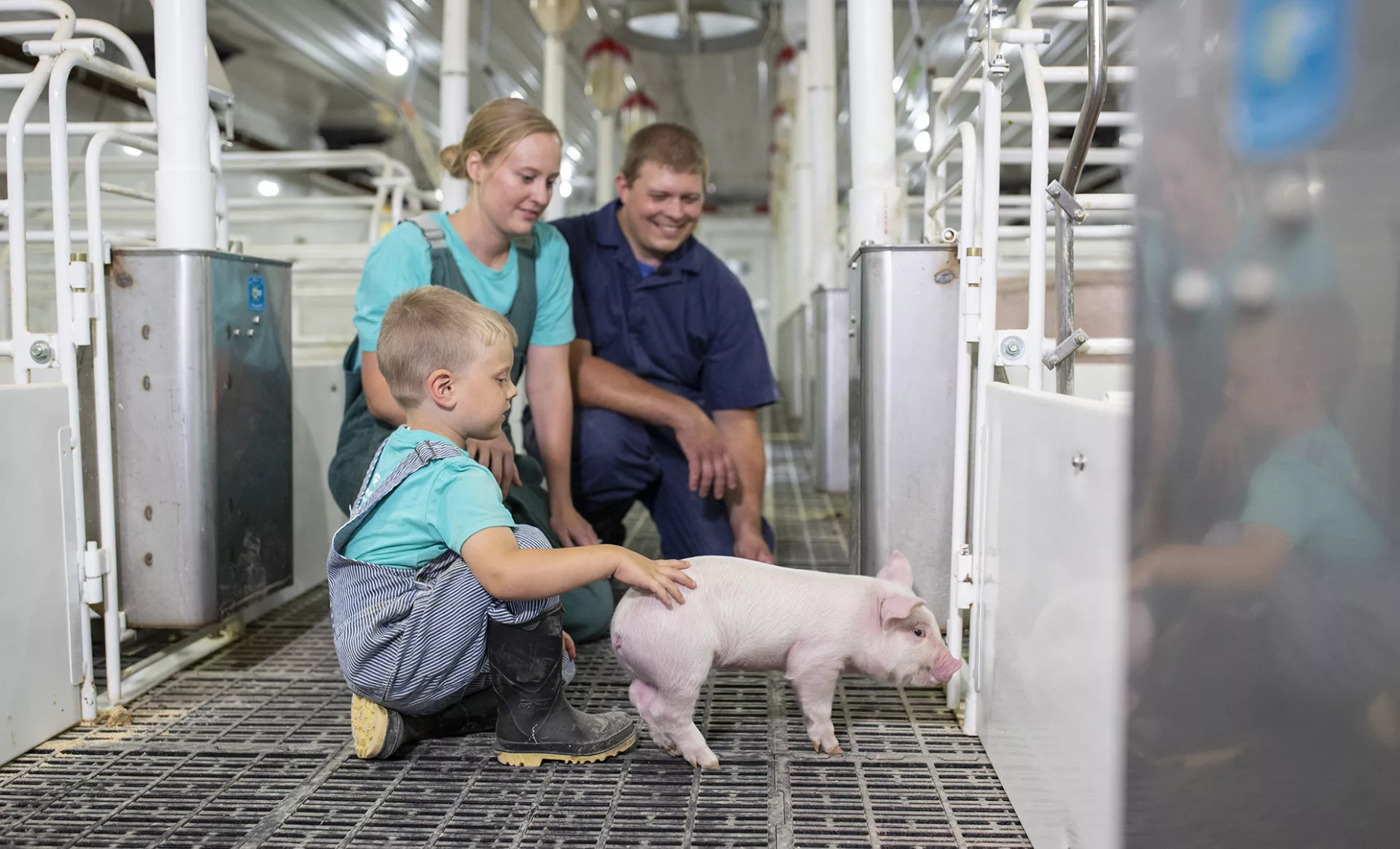 Farrowing barn in Worthington, Minnesota.