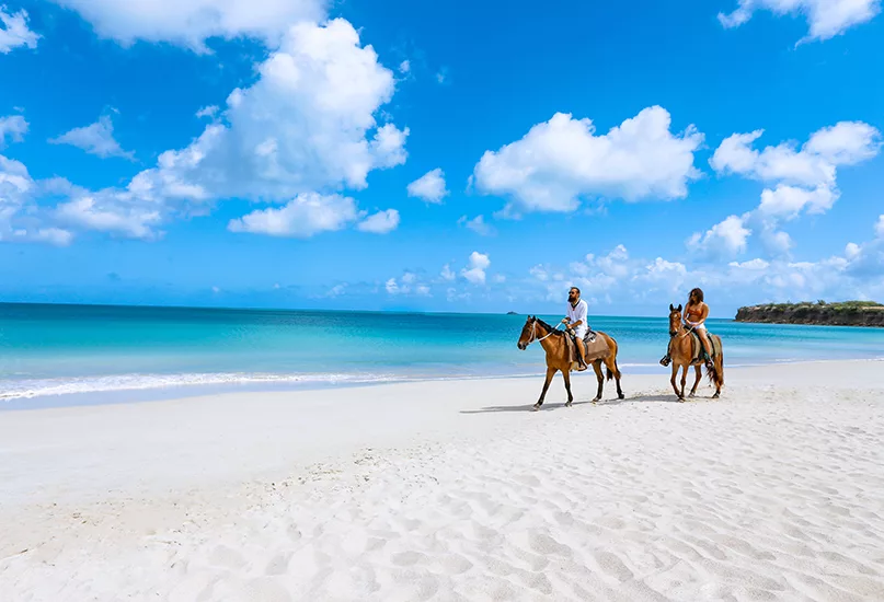 horse riding in Antigua, Fort James Beach