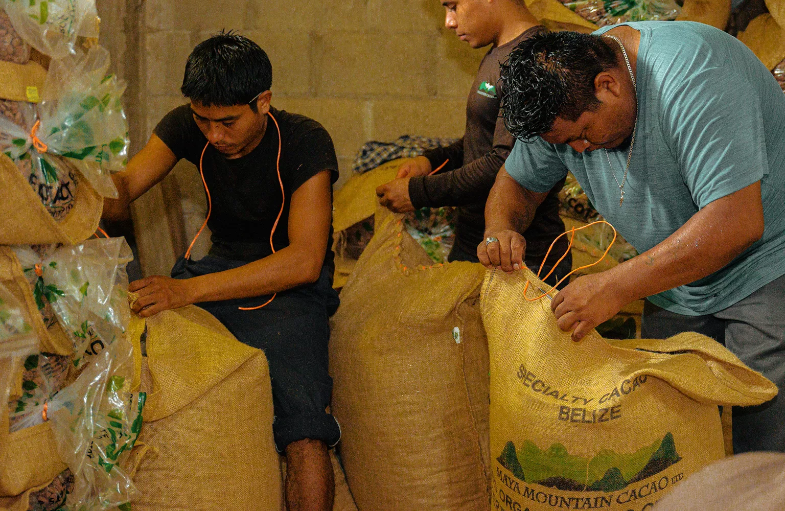 Belize Industry Main