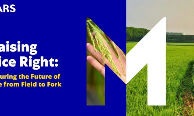 Mars Report Warns Climate and Generational Shift Threaten Global Rice Farming