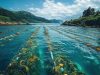 Underwater rope systems for sustainable seaweed cultivation