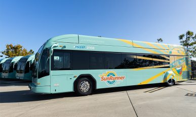 Pinellas Suncoast Transit Main