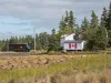 UPS Canada® The Ultimate Journey