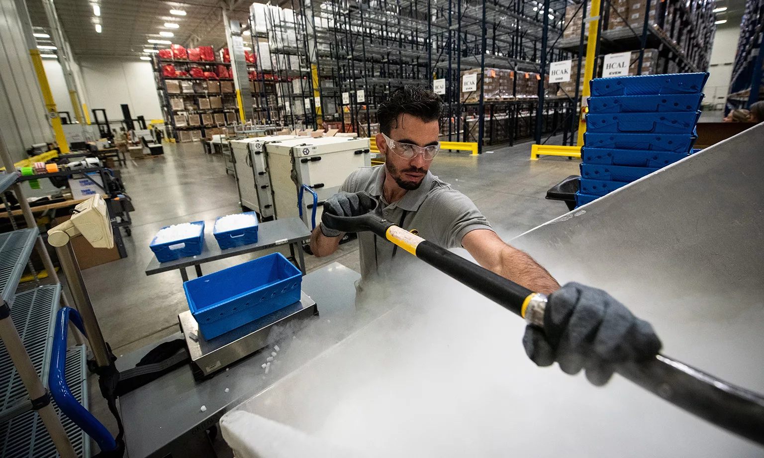 UPS Supply Chain Solutions® The Surprise Package North America Outlook