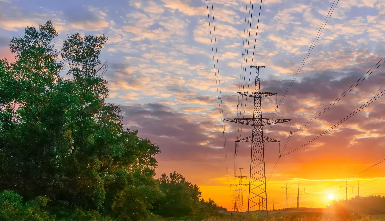 ELM Companies North America Outlook Magazine